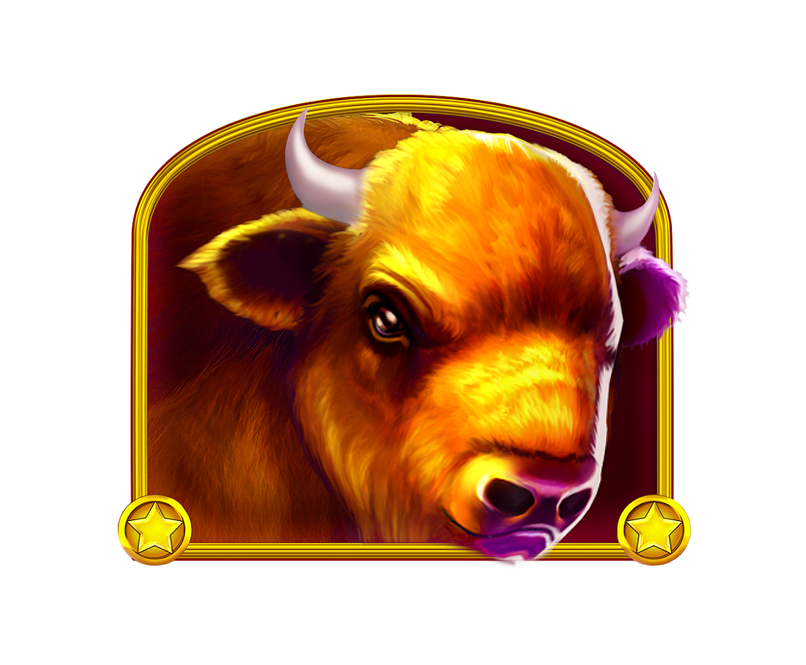 buffalo
