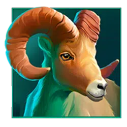 mufflon